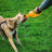 Bionic Toss n Tug