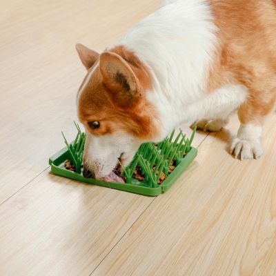 Tall Tails Foraging Mat - Grass